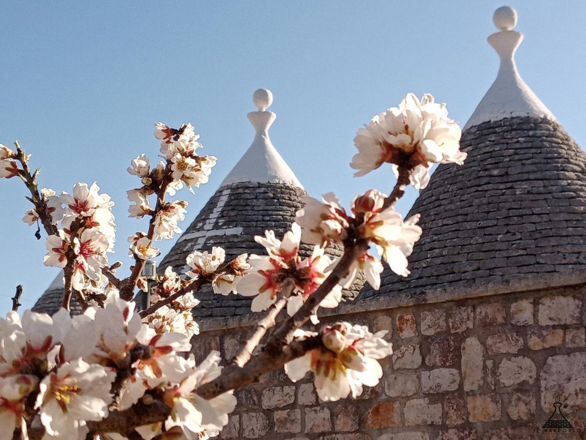 Il Mandorlo Villa Ostuni Buitenkant foto